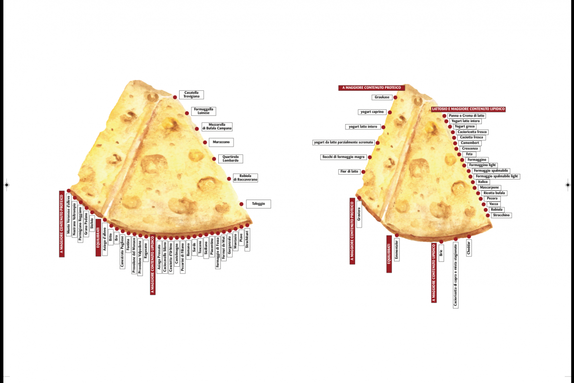 IL TRIANGOLO DEL FORMAGGIO - parte 1