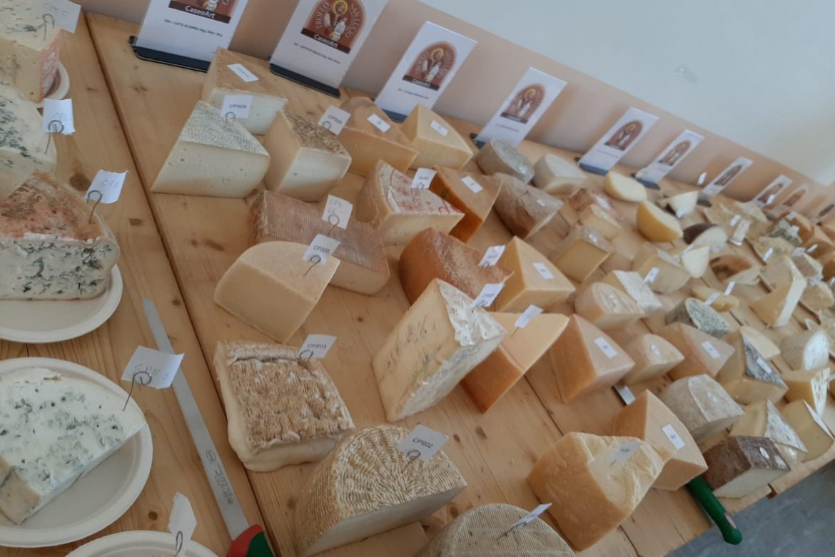 FORMAGGIO MA FORMAGGIO SARA LEI