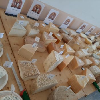 FORMAGGIO MA FORMAGGIO SARA LEI