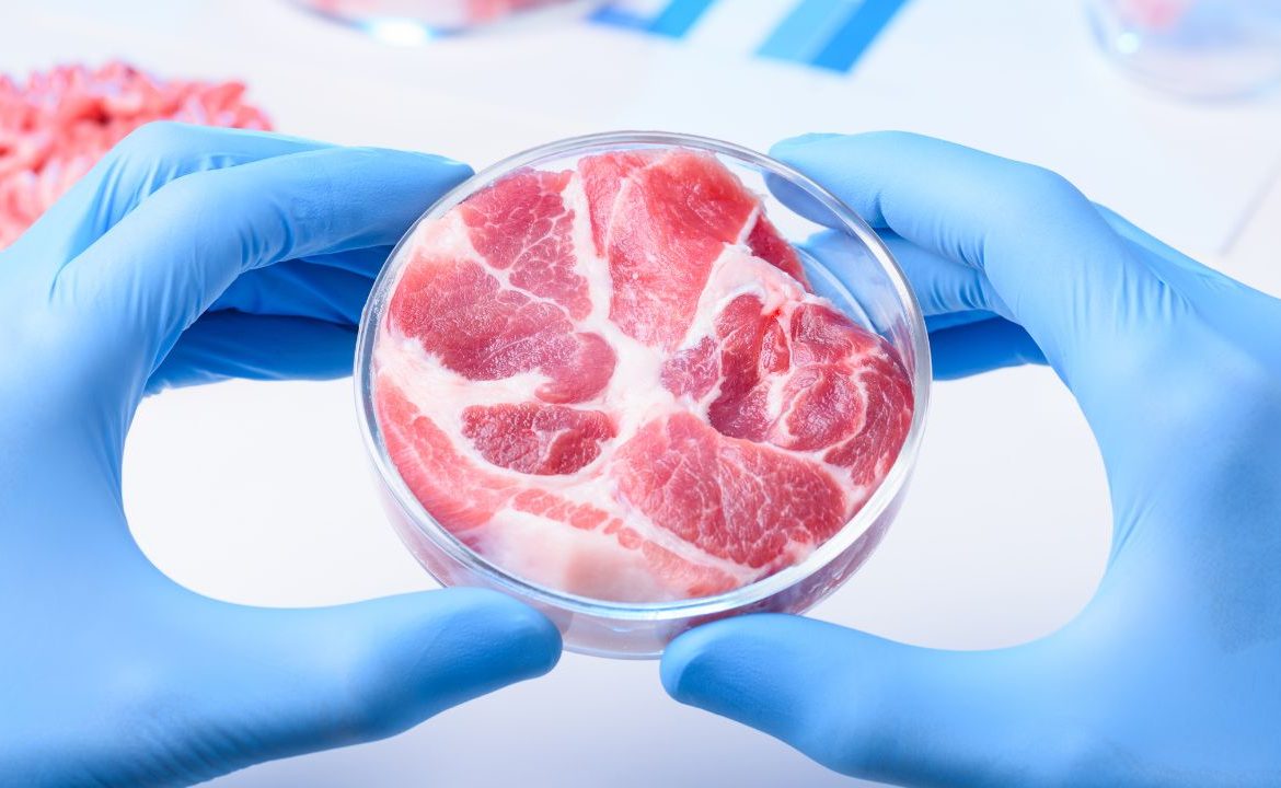 CARNE COLTIVATA IN LABORATORIO
